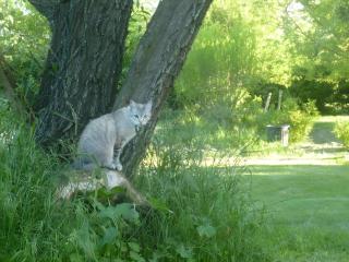 Campagne de Pré Grand - 1