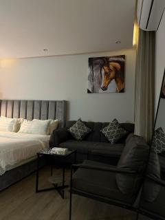 Self check-in MN Apartments - Luxury - 5