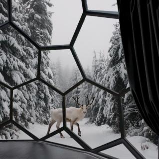 SKOG - Aurora Igloos Resort - 3
