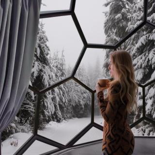 SKOG - Aurora Igloos Resort - 9