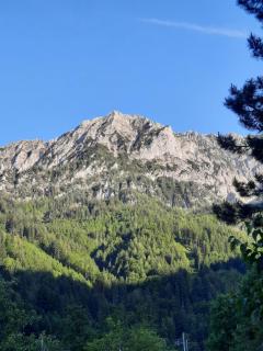 Gorshof - 9