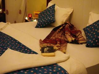 Shrinath Adventures Jaisalmer - 9