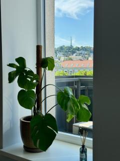 Cozy Apartment with Castle view - 3