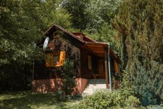 Cheerful Forest Cabin with Hot Tub! - 0