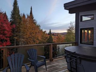 Maison contemporaine Tremblant- Spa & tranquillité - 5