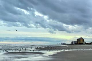 Heated pools, direct oceanfront, stunning views, rooftop pool, newly updated - 9