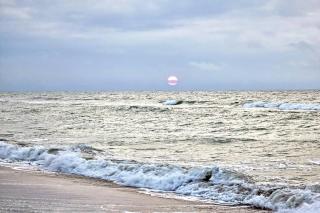 Heated pools, direct oceanfront, stunning views, rooftop pool, newly updated - 7