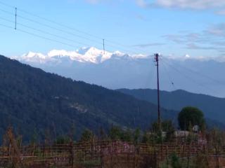 Laxmi homestay - 4