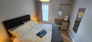 Alexandra Park Apartment 1 - Belfast - 2