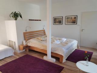 Rhein River Guesthouse - direkt am Rhein - Leverkusen - 4