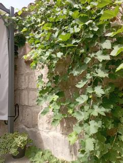 Il Ponticello - Gradillo - 2