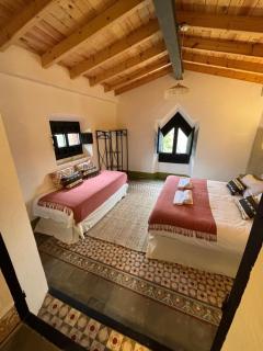 Casas Lieva Nogal - 9