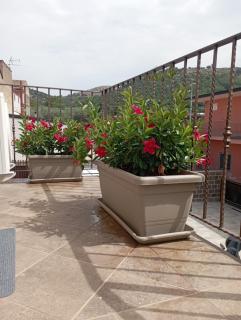 Il Ponticello - 6
