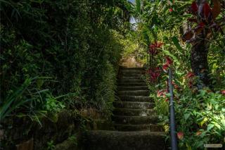 El Cabanon del Higuerón - 1