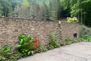 Peak and Pond Retreat - 3