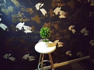 Just For Sleep-daily stay 20h to 10h Apres votre arrivee dans le batiment d'entree, contact I'hote via le message ici de reservation pour l'enregistrement I'entree dans la propriete sans I'approbation est interdite-Resevation d'un tiers est inacceptable- - Bobigny - 4