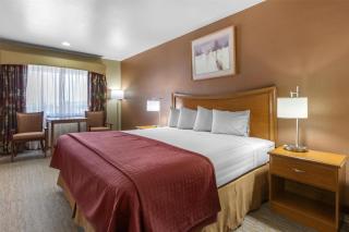 Best Western Canyon De Chelly Inn - 1