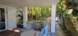 Secret garden of Piran - 5