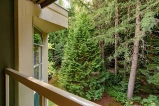 Woodrun Lodge 514 | Ski-In Ski-Out Condo w/ Pool, Hot Tub, Free Parking, Wifi & Laundry - Whistler - 1