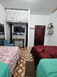Cuarto en galápagos - 8