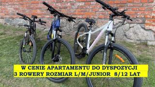 Mazurski Apartament - 9