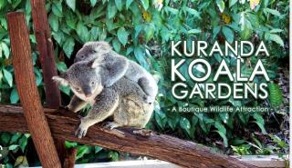 Lilah Blue-Entire Home Rustic Rainforest Private - 2