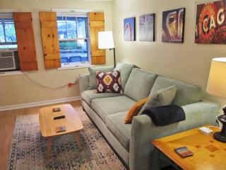 Cozy Vintage Chicago Apartment near Downtown - 9