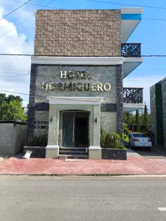 Hotel Hormiguero - Xpujil - 0