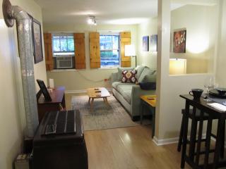 Cozy Vintage Chicago Apartment near Downtown - 7