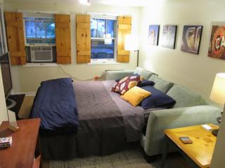 Cozy Vintage Chicago Apartment near Downtown - 8