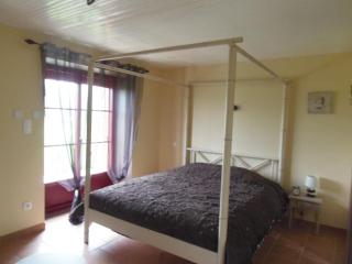 Gîte familial avec piscine couverte et grand jardin privatif en Vendée - FR-1-426-458 - 8