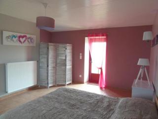 Gîte familial avec piscine couverte et grand jardin privatif en Vendée - FR-1-426-458 - 2