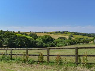Shire Cottage - Uk50029 - Liskeard - 1