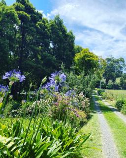 Miranda Homestead - 7