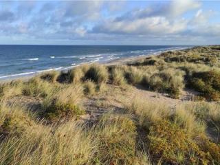 Luxury Villa with Pool - By Traum Ferienwohnungen - 2