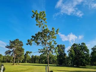 7 person holiday home in Hadsund - 2