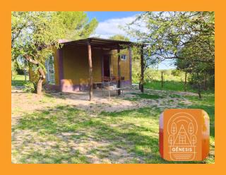 Complejo Genesis MALLIN - 6