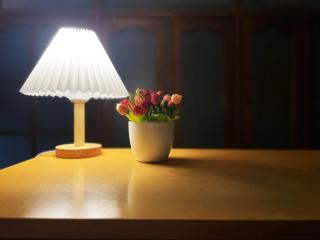 Melody House - Da Nang - 8