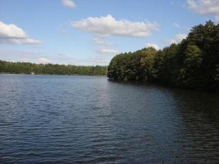 at Pagelsee in the Müritz National Park - 1