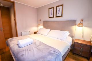 HOM I Depto con Gran Terraza con Vista al Lago - 0