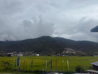 Sompal Serviced Apartment - 1