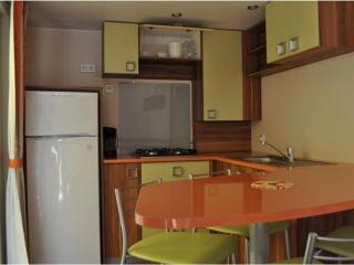 Mobil-home 29m² avec terrasse à Salles - API-1-52-426 - 9