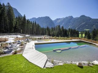 Chalet with Sauna and Natural Pool - 2