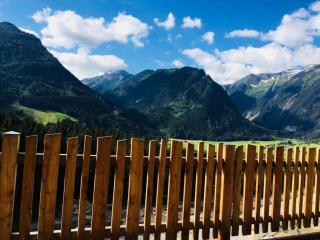 Chalet Stay near Krimml Waterfalls - 4