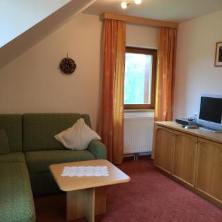 Gasthof Dachsteinblick - Stainach - 5