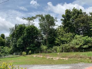 Homestay Fida - 9