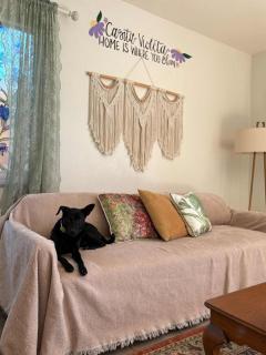 Casita Violeta Pet-Friendly Getaway Near Balboa - San Diego - 6
