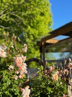 The Old Wilmot Bakehouse - 8