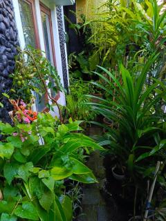 ChiGhaya Guest House - 9