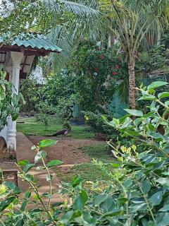 Vidisa Villas - 1